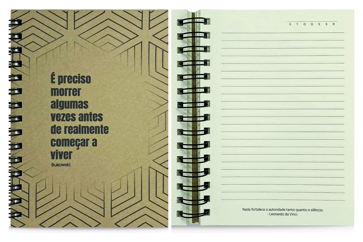 Caderno para escrever: escolha o seu! - Nívea Salgado